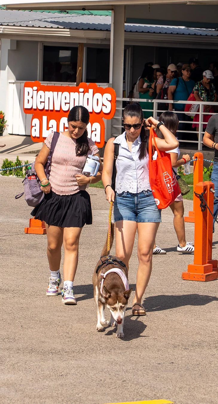 Blog_Mascotas (1)